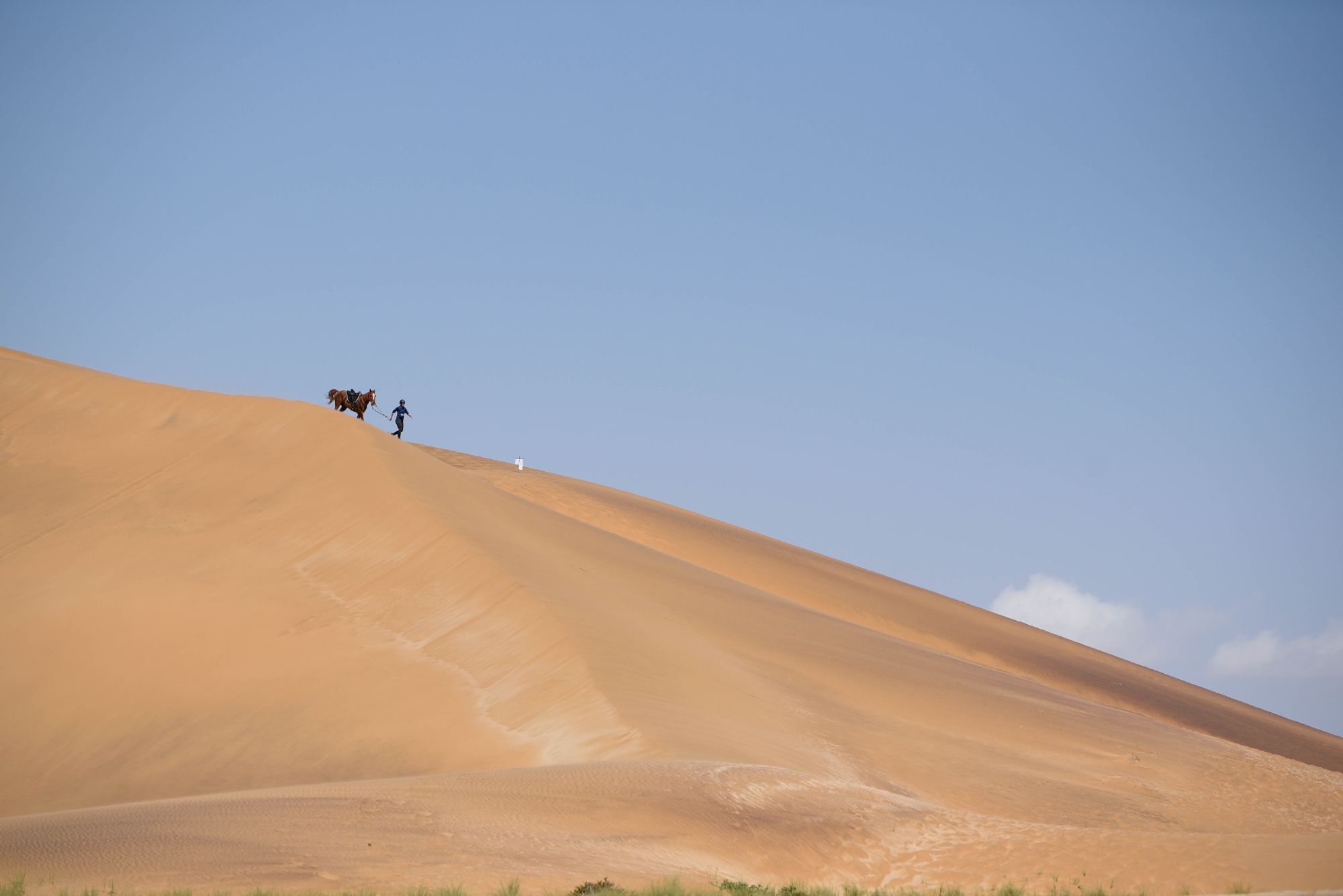 Highlights (184 of 231)_resized.jpg